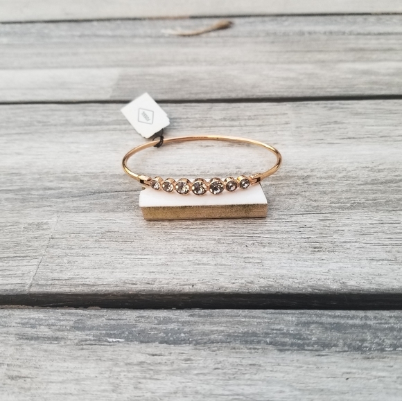 Fossil Brand Bracelet! - Picture 1 of 3